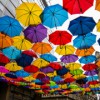Knirps（クニルプス）の折りたたみ傘を購入！